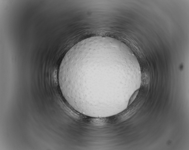 X0000097960238200803241049