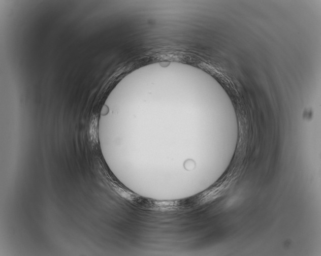 X0000097960240200803241049