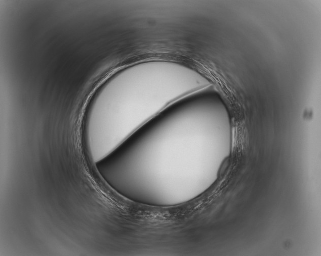 X0000097960243200803241048