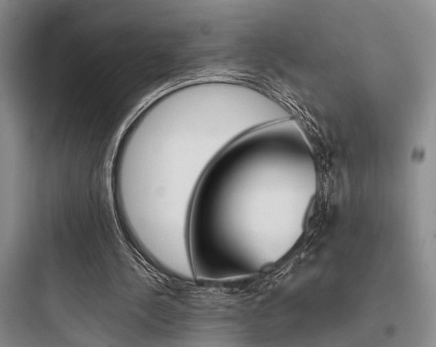 X0000097960244200803241048