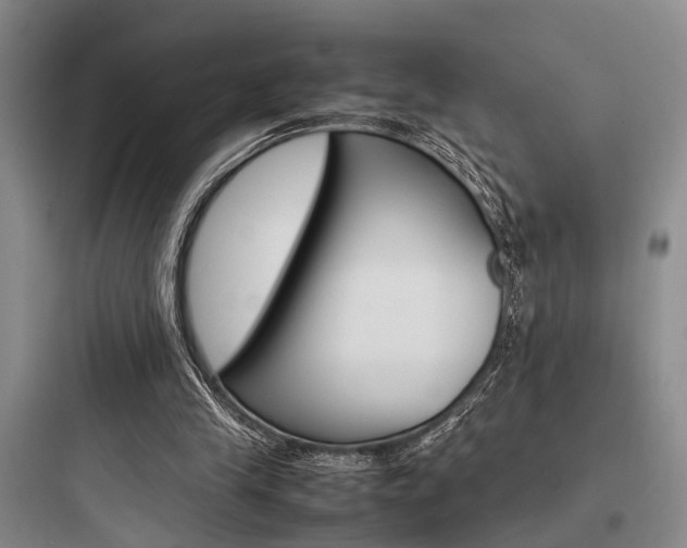 X0000097960245200803241048