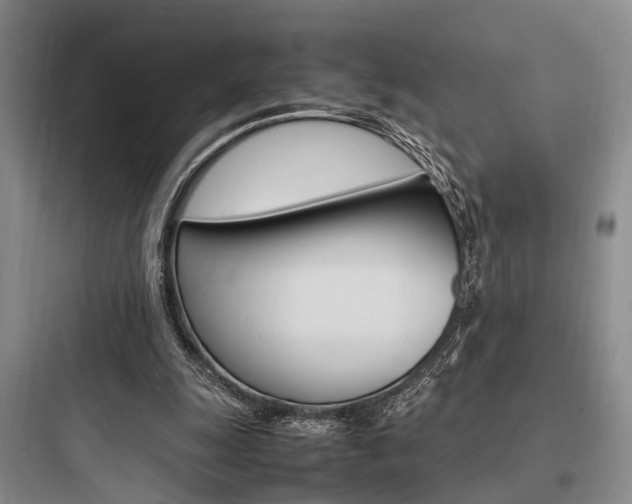 X0000097960247200803241048