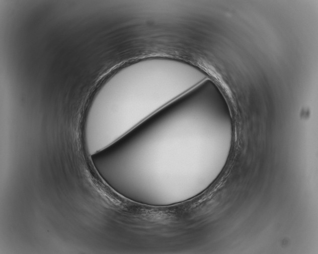 X0000097960249200803241048