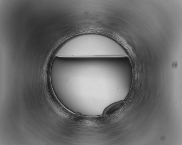 X0000097960250200803241048