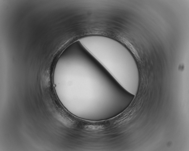 X0000097960251200803241048