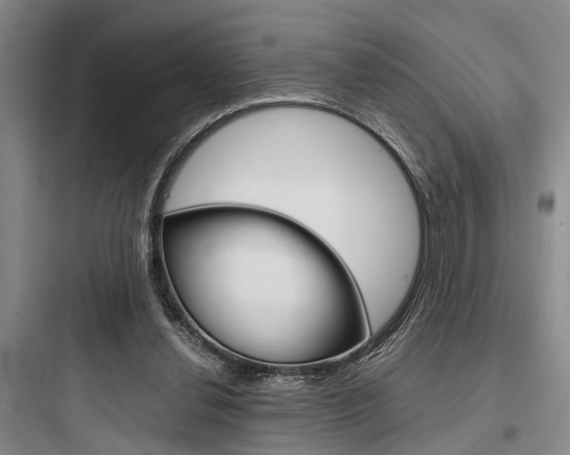 X0000097960252200803241048