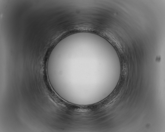 X0000097960255200803241048