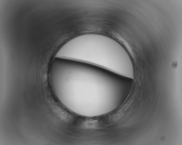 X0000097960257200803241048