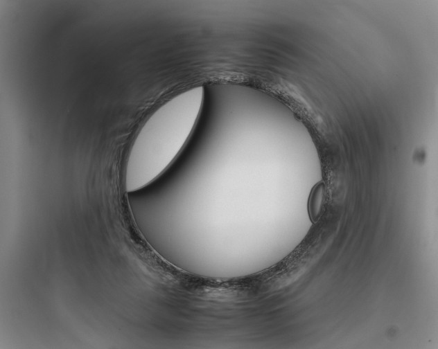 X0000097960259200803241048