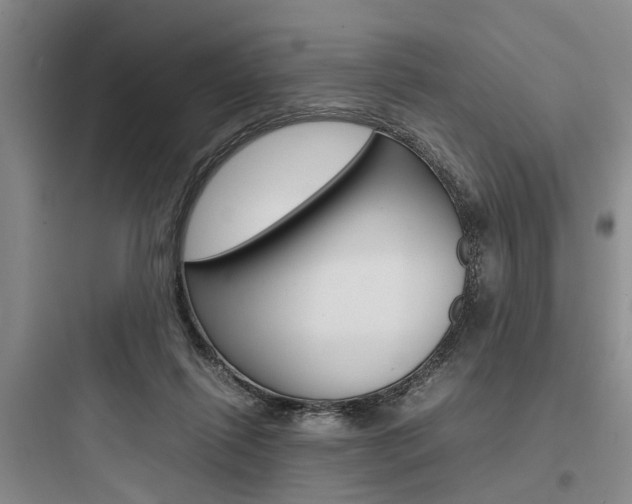 X0000097960262200803241049