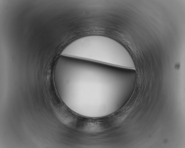 X0000097960263200803241049