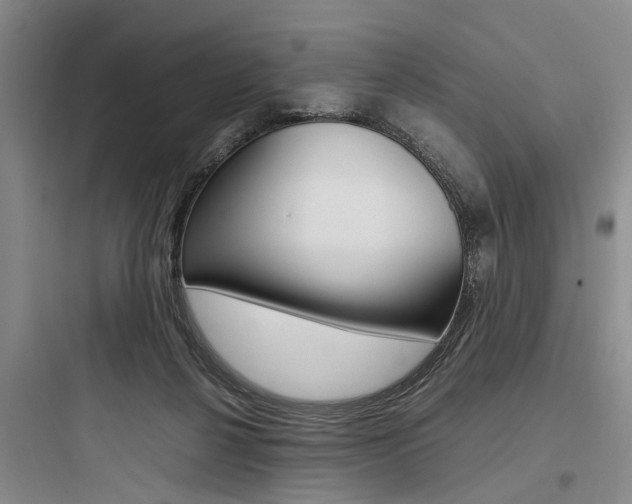 X0000097960264200803241049