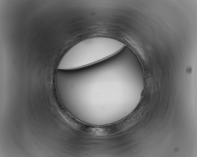 X0000097960265200803241049