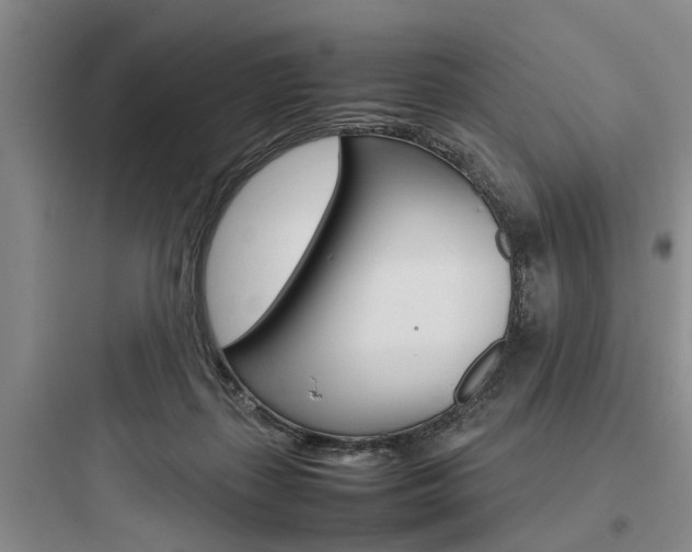 X0000097960267200803241049