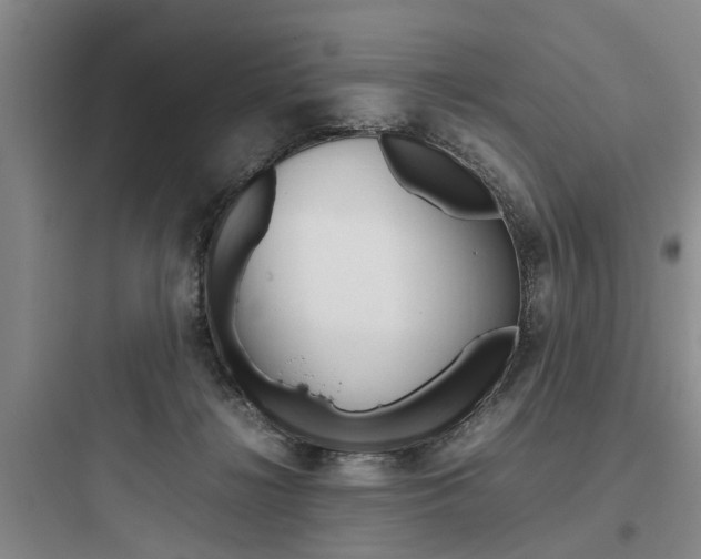 X0000097960268200803241049
