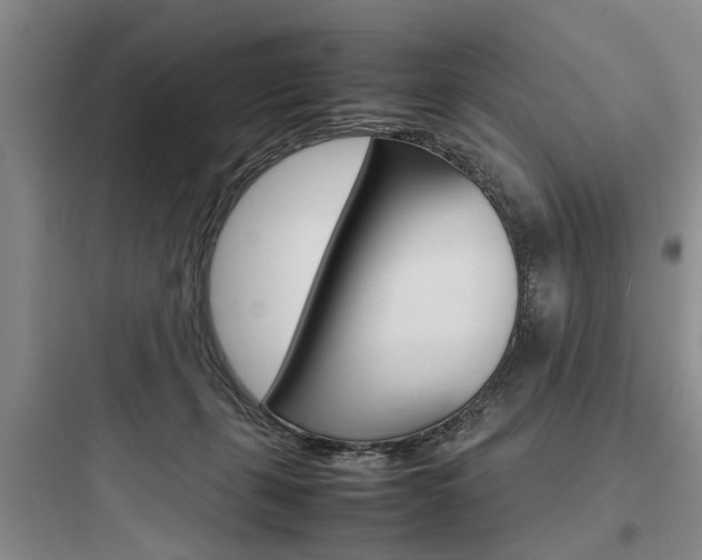 X0000097960271200803241049