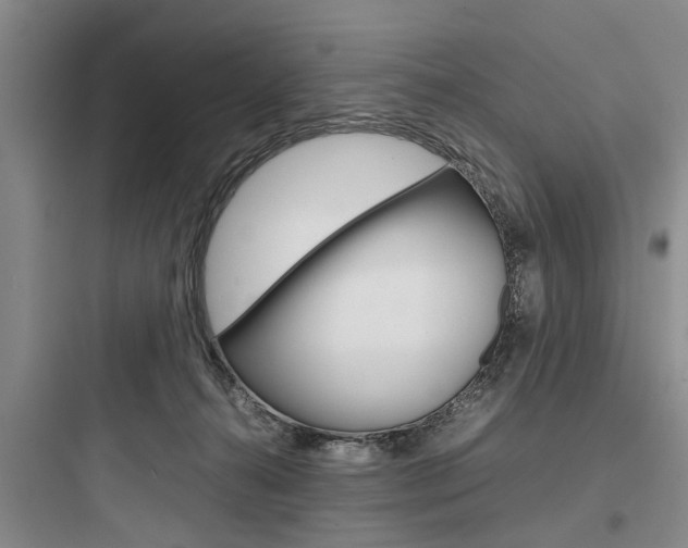 X0000097960272200803241049