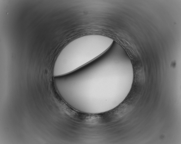 X0000097960274200803241049
