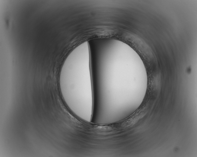 X0000097960277200803241049