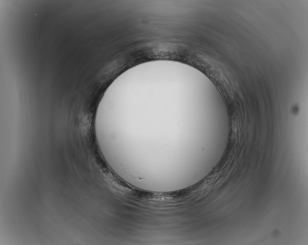 X0000097960278200803241049