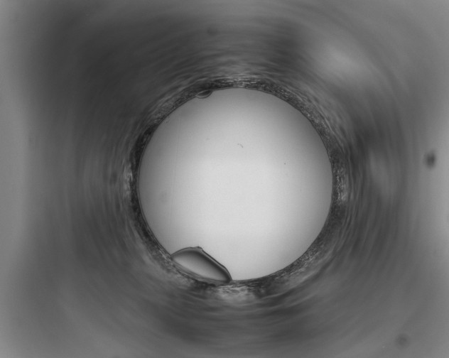 X0000097960279200803241049