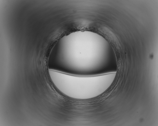 X0000097960280200803241049