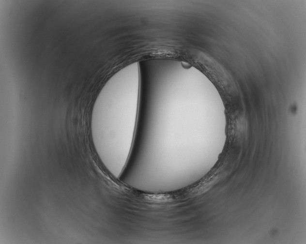 X0000097960281200803241049