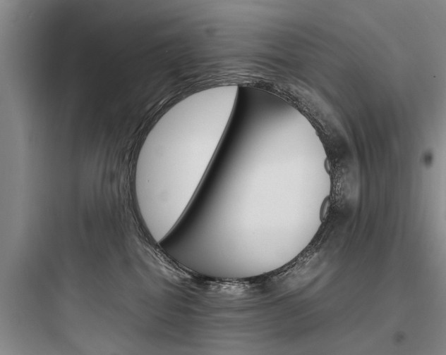 X0000097960282200803241049
