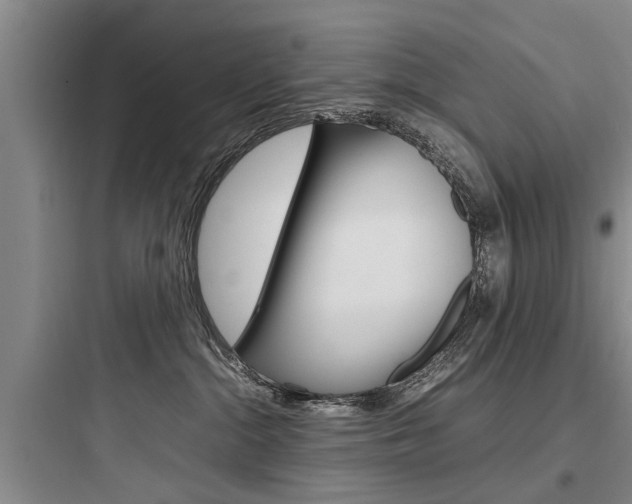 X0000097960284200803241049