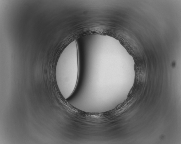 X0000097960285200803241049