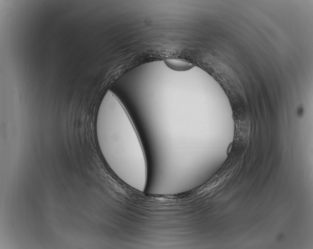 X0000097960286200803241049