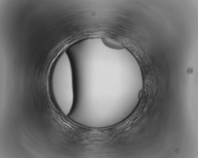 X0000097960290200803241048