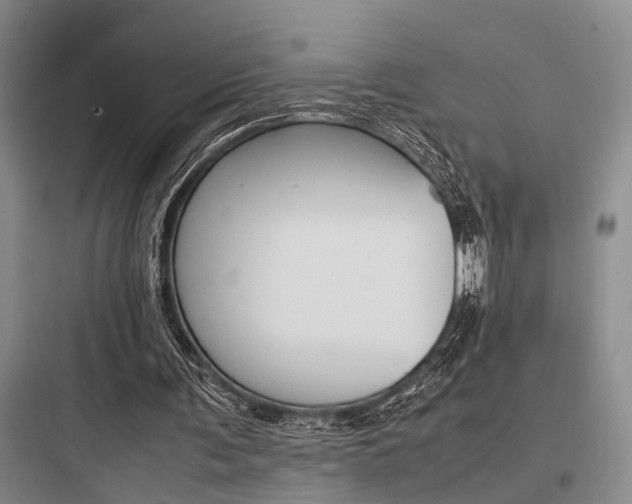 X0000097960291200803241048