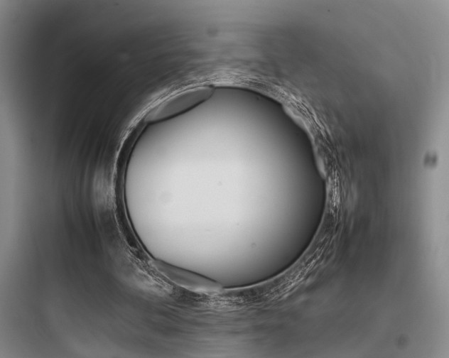 X0000097960292200803241048