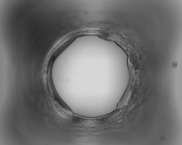 X0000097960293200803241048