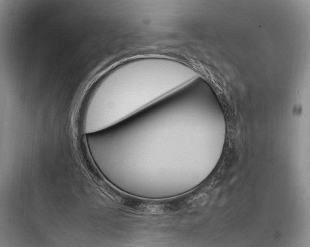 X0000097960295200803241048