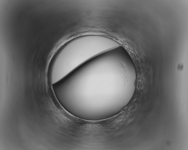 X0000097960296200803241048