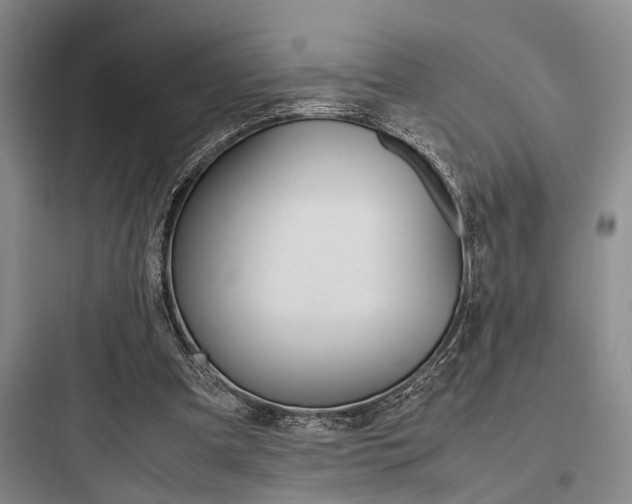 X0000097960297200803241048