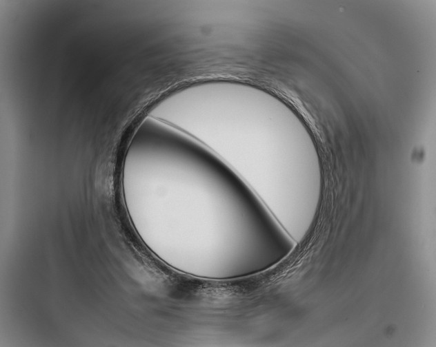X0000097960299200803241048
