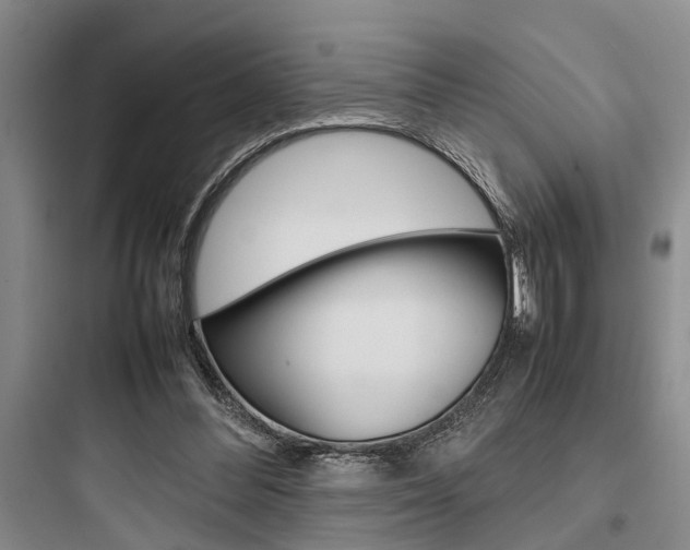 X0000097960300200803241048