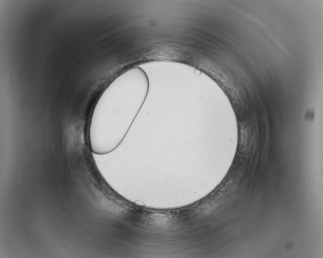 X0000097960302200803241048