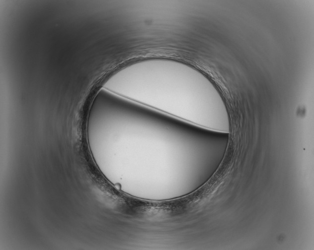 X0000097960303200803241048