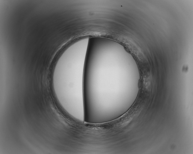 X0000097960304200803241048