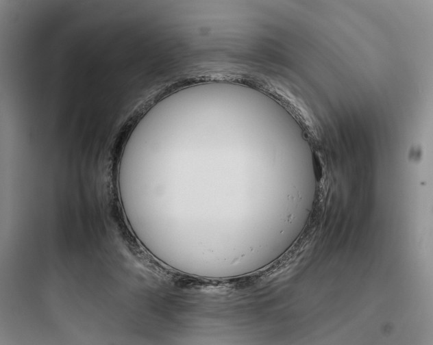 X0000097960306200803241048