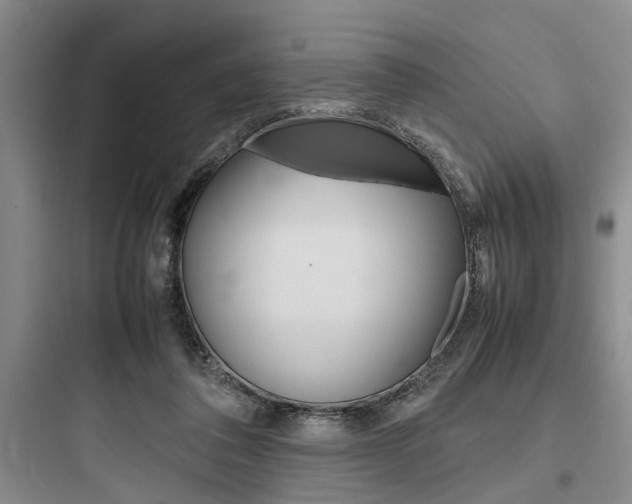 X0000097960308200803241048