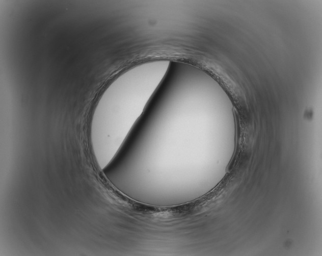 X0000097960309200803241048