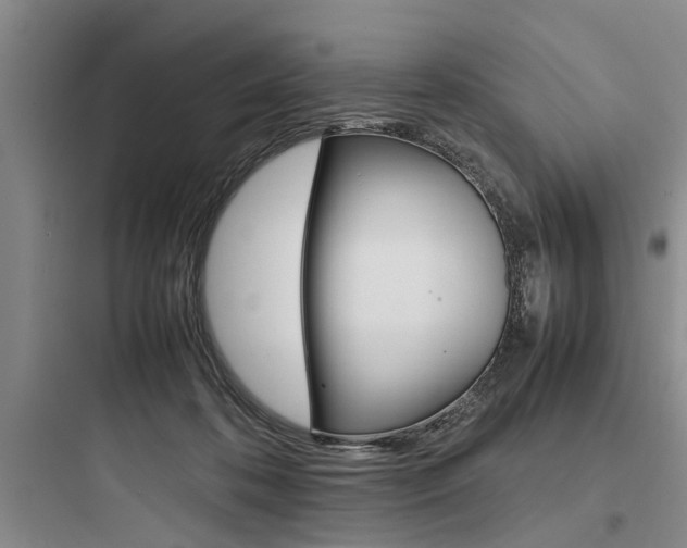 X0000097960316200803241048