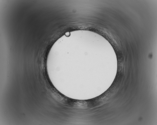 X0000097960317200803241048