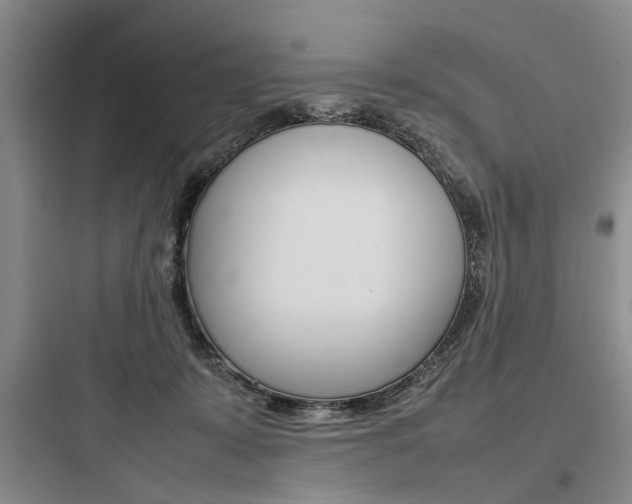 X0000097960319200803241048