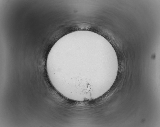 X0000097960321200803241048